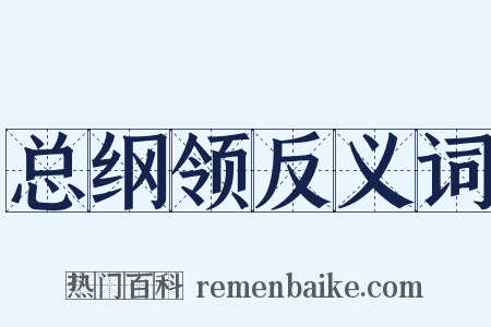 总纲领反义词是什么意思的图片